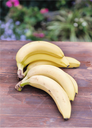 Impressionen Landhaus Flottbek Lauf 2016 - Bild 7 - Landhaus Flottbek Lauf 2016