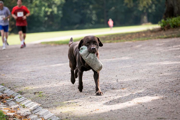 Impressionen Landhaus Flottbek Lauf 2019 Bild9 - Landhaus Flottbek Lauf 2019